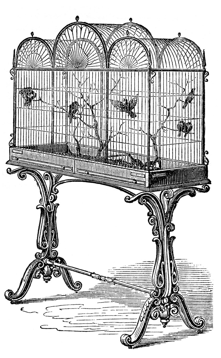 Vintage Stock Image - Fancy Victorian Bird Cage - The 