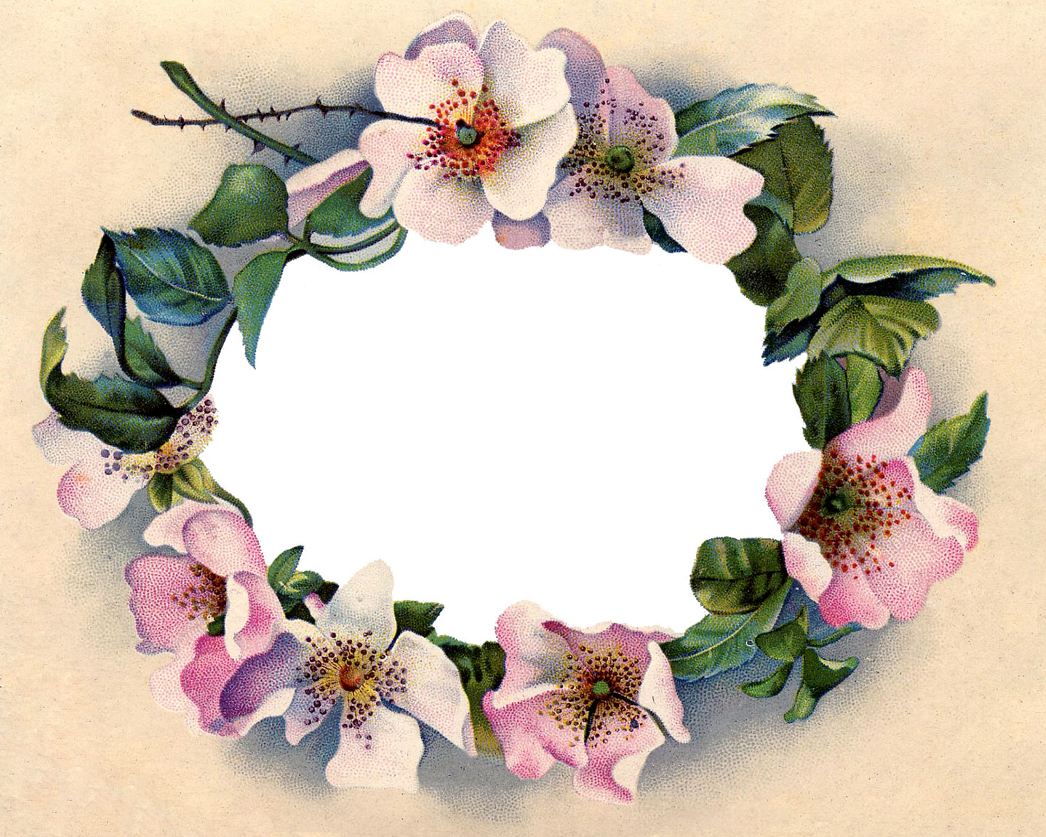 Victorian Clip Art - Stunning Wild Rose Frame - The Graphics Fairy