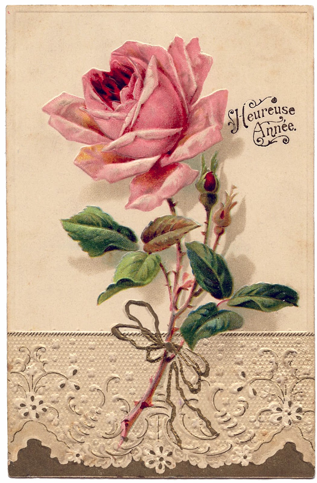 French Image - Beautiful Rose with Lace - The Graphics Fairy