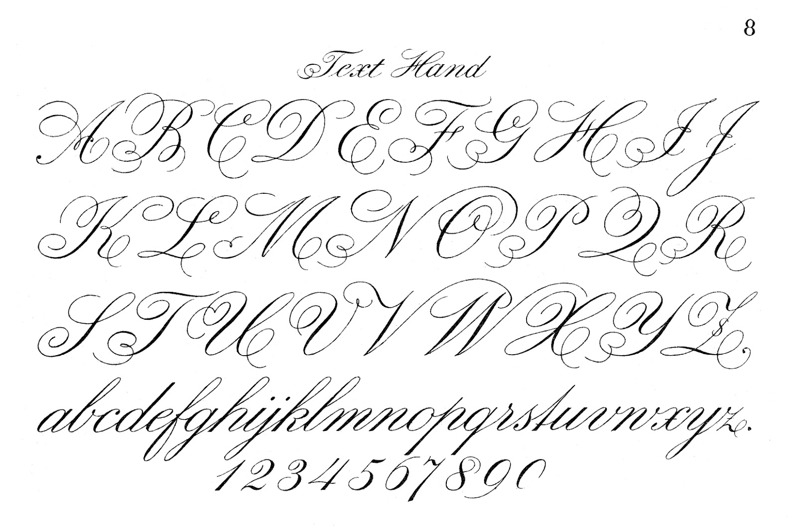 free fonts online calligraphy