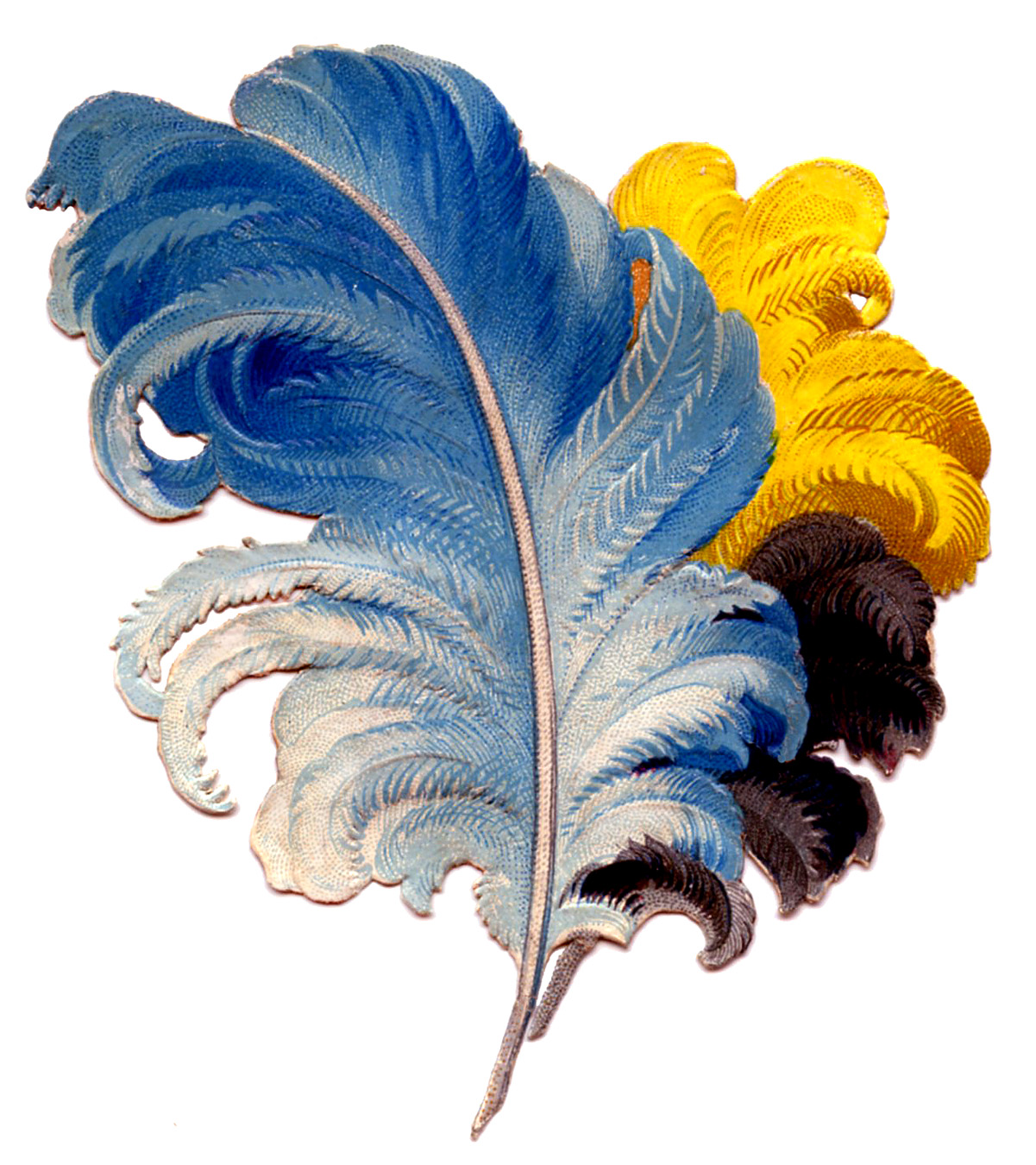 Victorian Graphics - Colorful Feathers - Plumes - The Graphics Fairy