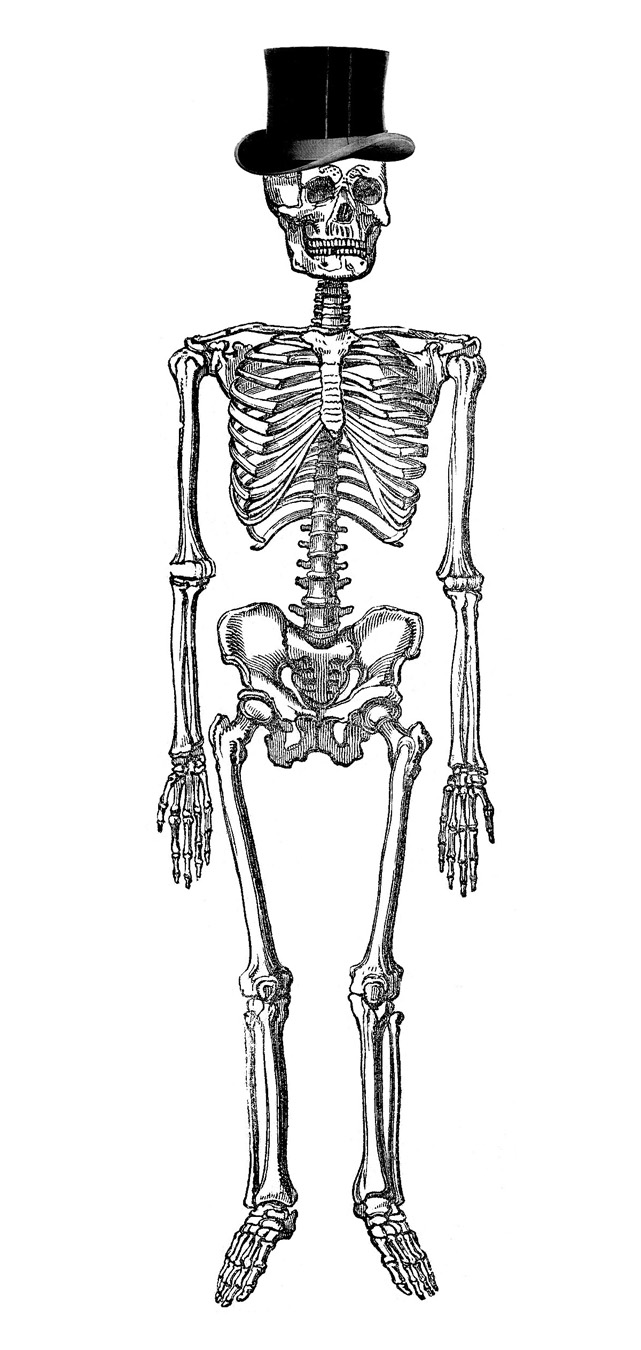 Vintage Halloween Clip Art - Fancy Skeleton Man - The Graphics Fairy