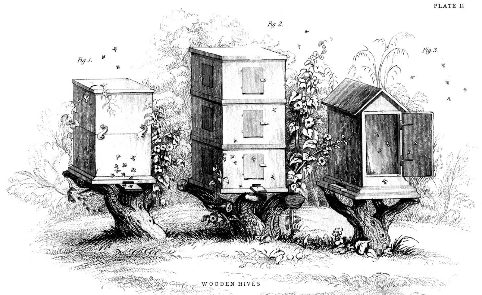 httpsinstant art printable vintage beehives