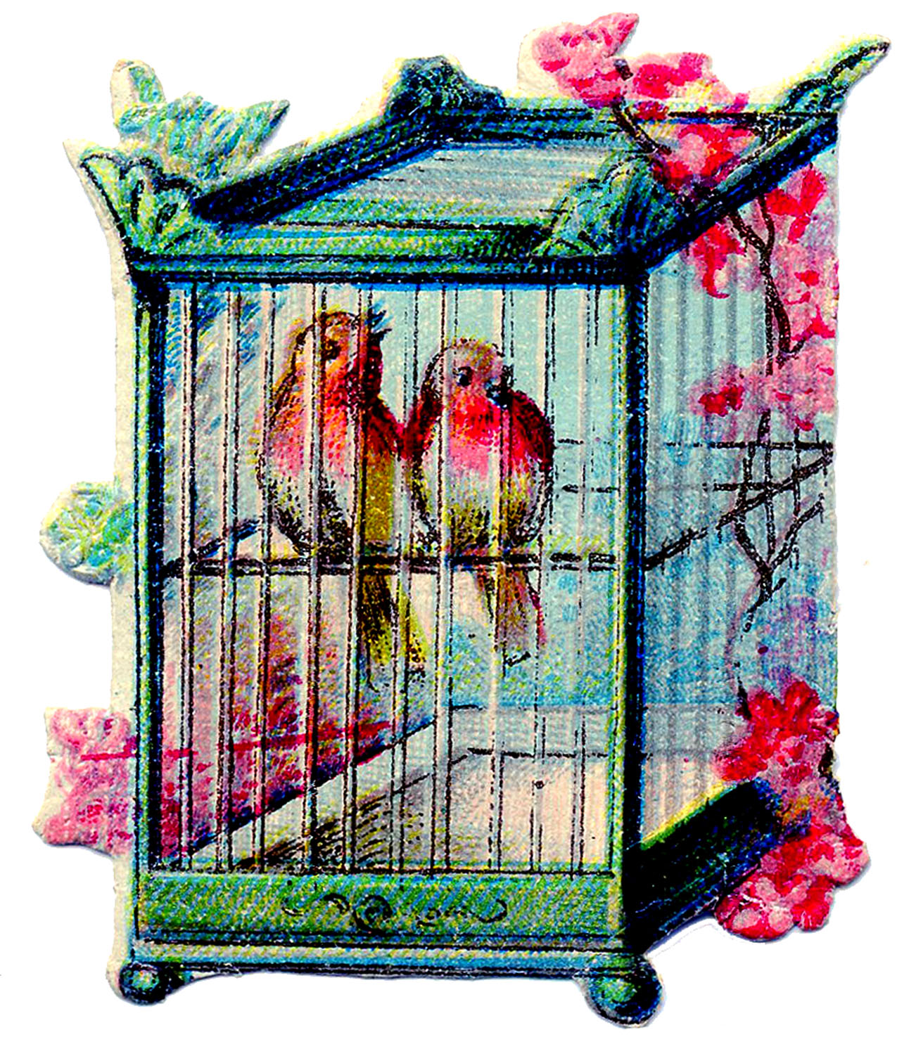 bird in bird cage