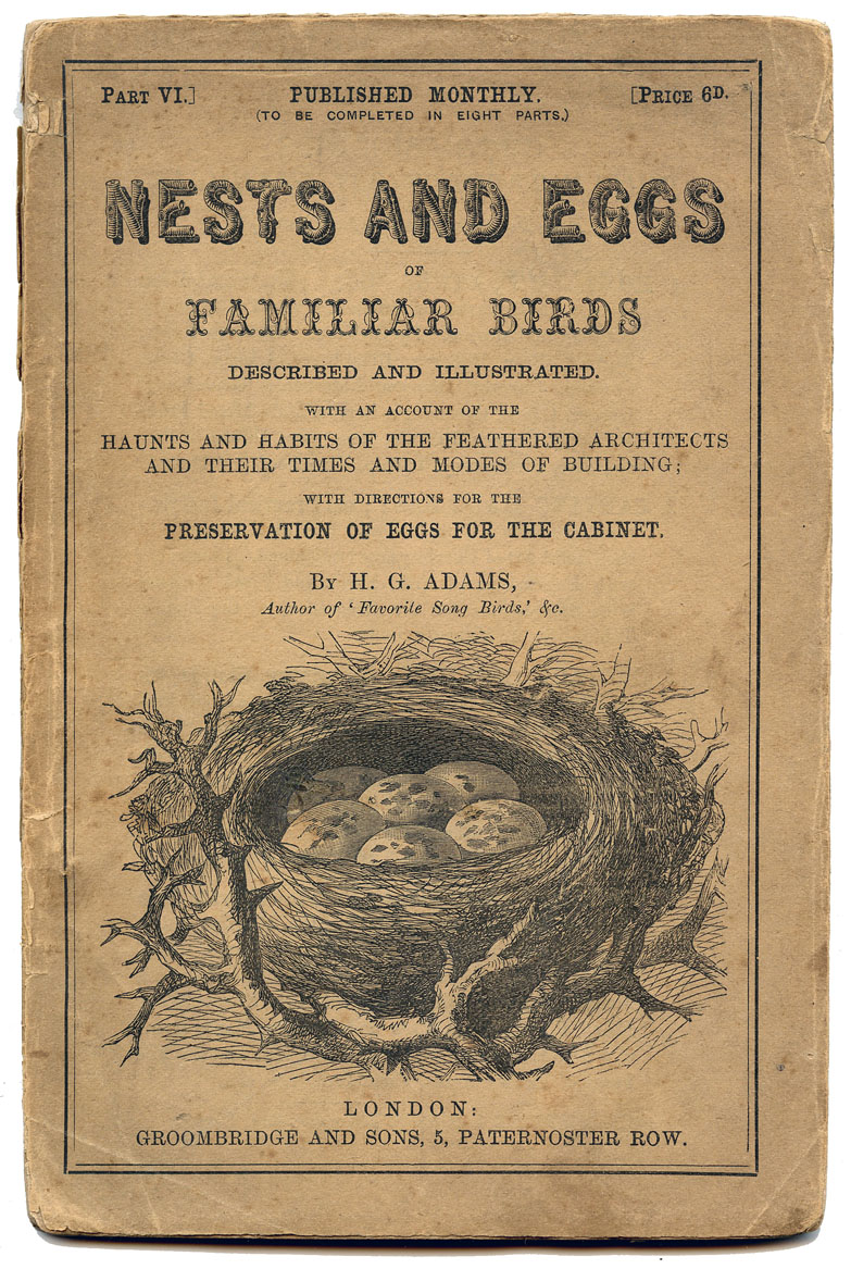 Antique Ephemera Printable Nests and Eggs Title Page 