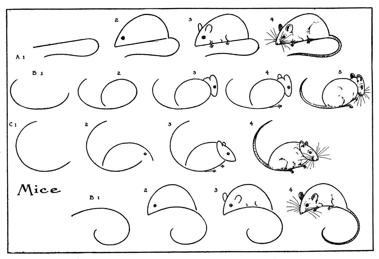 How To Draw A Mouse Easy