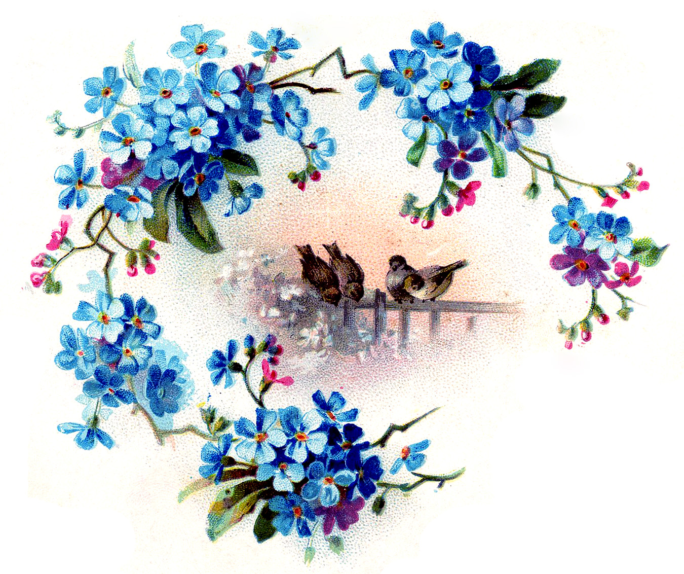 Old Fashioned Graphic - Birds with Floral Frame - The Graphics Fairy