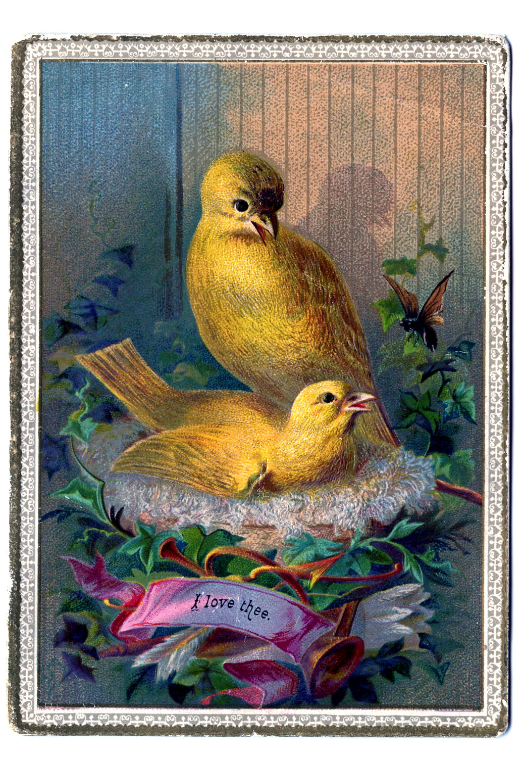 Vintage Clip Art - Darling Canary Birds on Nest - The 