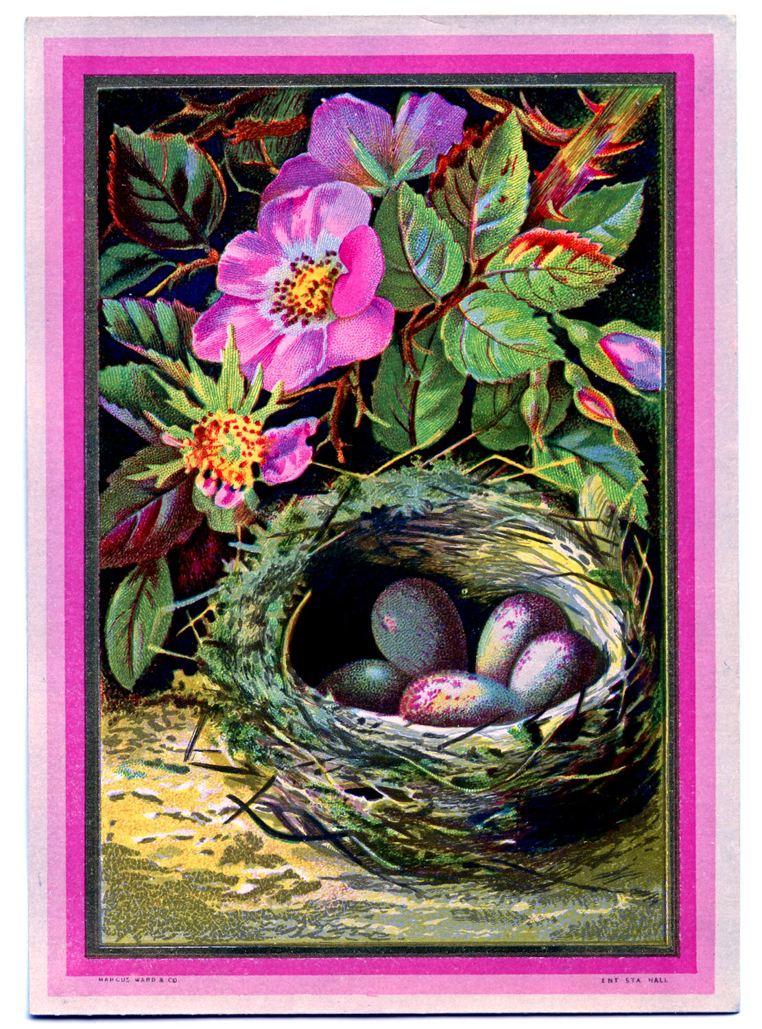 Vintage Clip Art - Nest with Eggs and Pink Roses - The Graphics Fairy