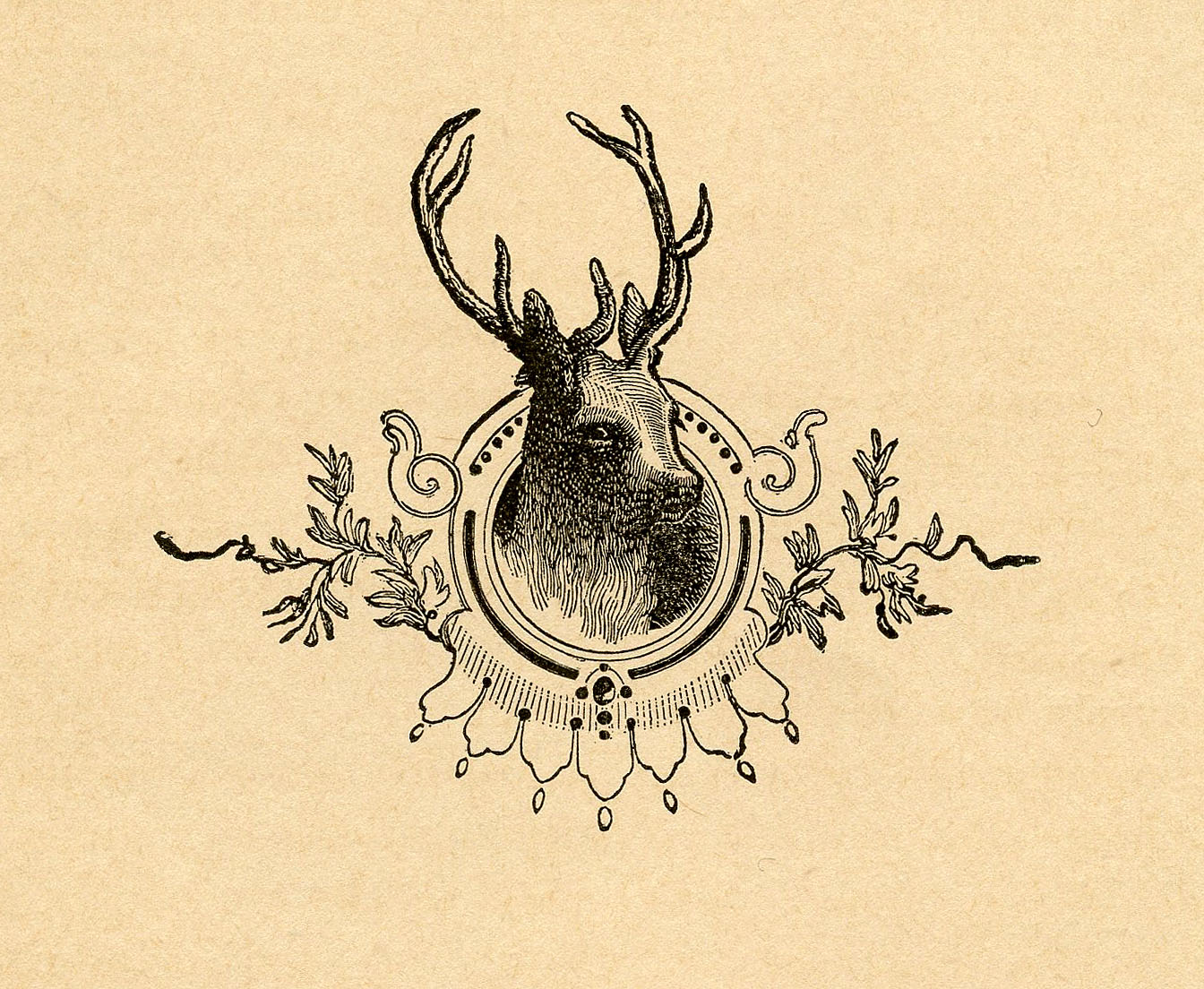 Vintage Christmas Image - Deer Head Engraving - The 