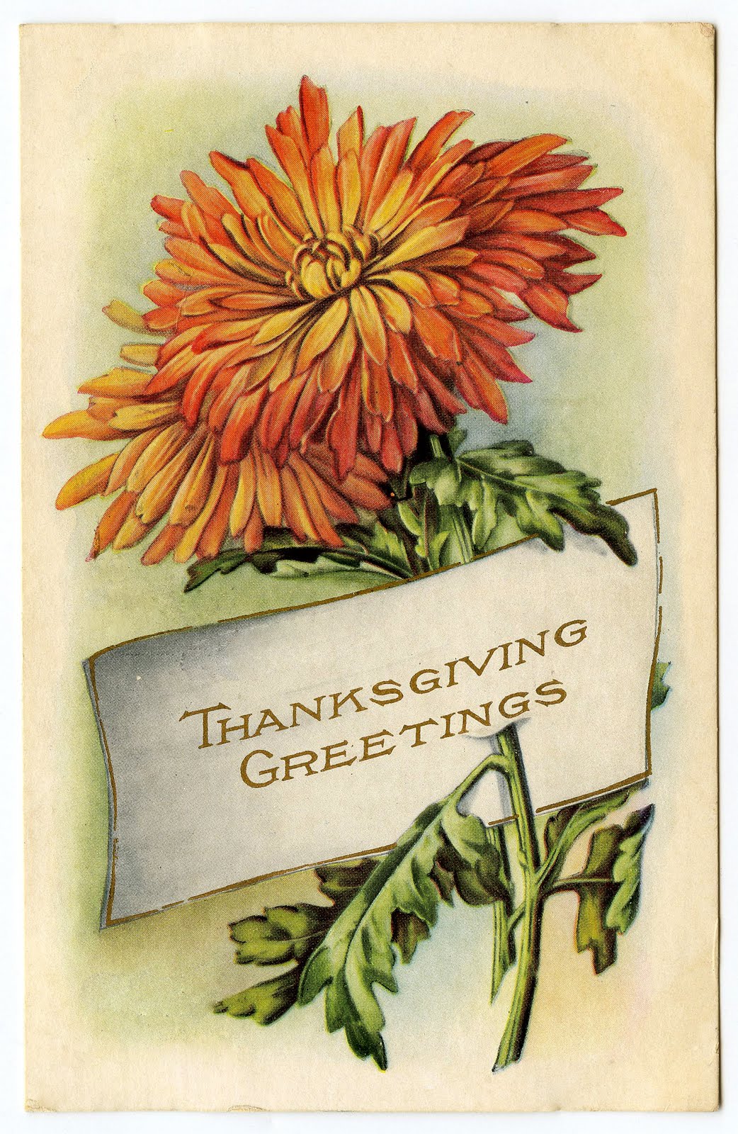 Vintage Thanksgiving Clip Art - Mums - Placecard - The ...