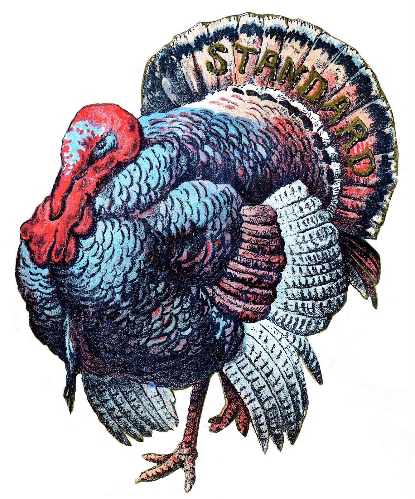 Thanksgiving Clip Art - Big Beautiful Turkey - The Graphics Fairy