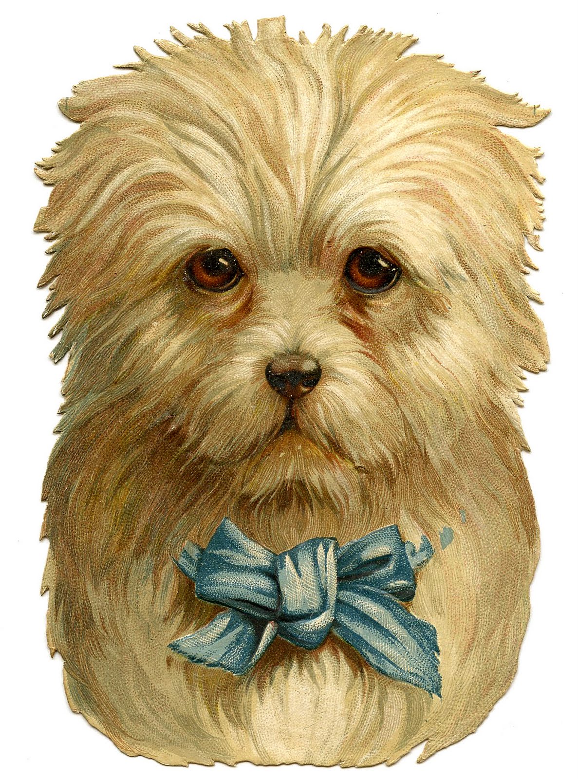 Download Vintage Clip Art- Darling Dog with Bow - The Graphics Fairy
